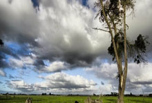 天涯神贴真实身份：孤勇者的隐身极客与烟火人间的日常对位